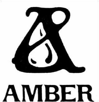 Amber Logo - Amber logo | wirtualnywydawca.pl