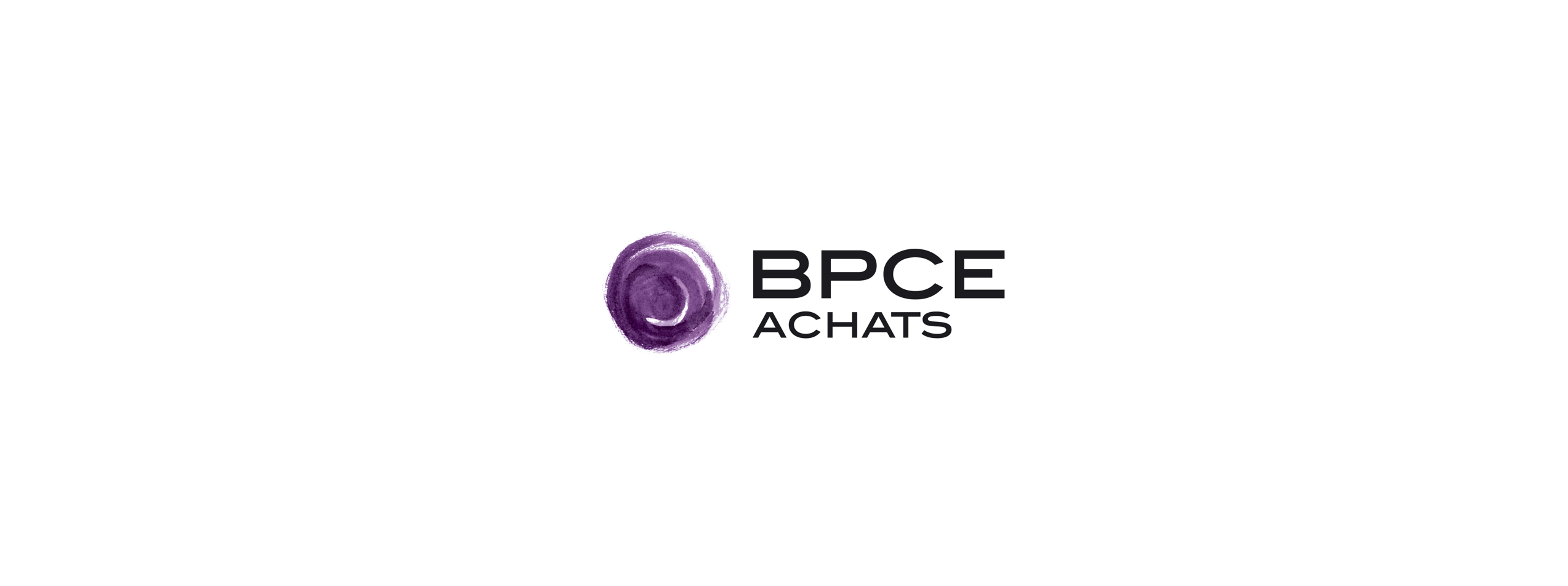 Bpce Logo - Témoignage client BPCE Achats - Solution décisionnelle achats et ventes