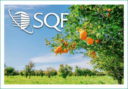SQF Logo - Orange Grove With Sqf Logo