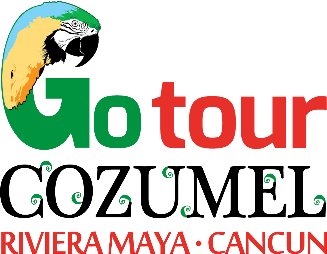 Cozumel Logo - Go Tour Cozumel