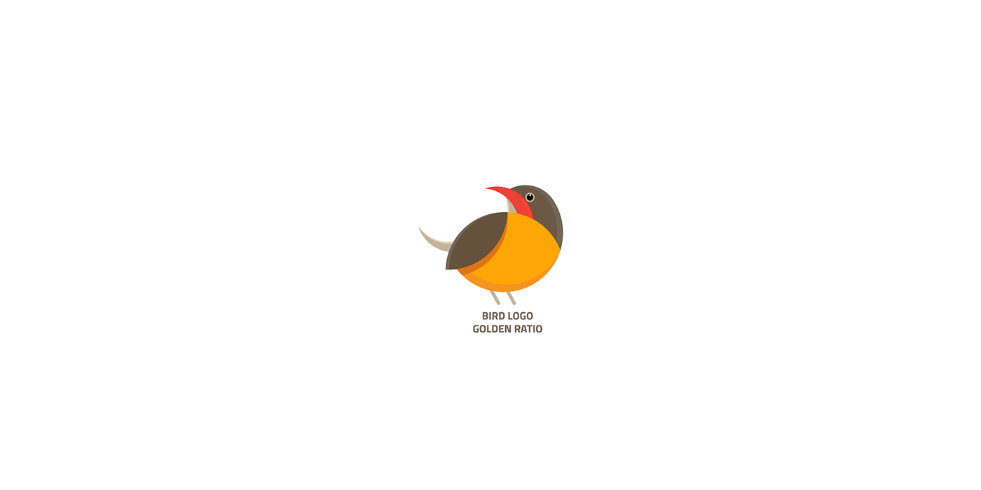 Brid Logo - BIRD LOGO WITH GOLDEN RATIO on Behance