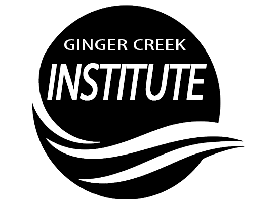 GCI Logo - GCI Logo Creek Church In Aurora IL