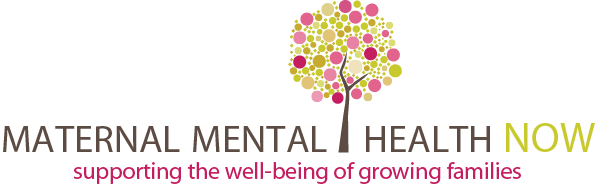 HealthNow Logo - Maternal Mental Health Resource Directory