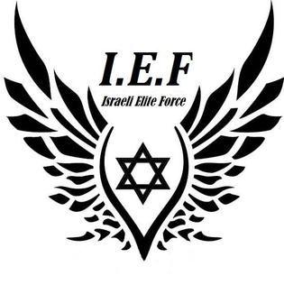 Hacking Logo - Israeli Elite Force
