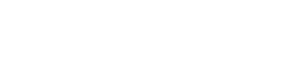 VPR Logo - Project Overview | The Virtual Physiological Rat Project