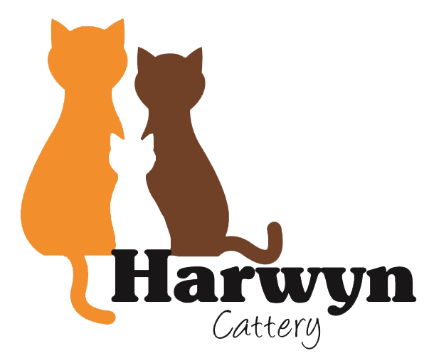 Catter Logo - Harwyn Cattery Friendly, Family Run Cattery