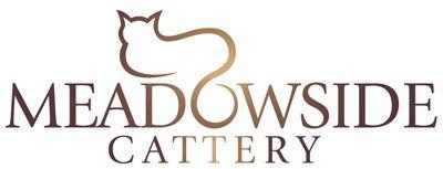 Catter Logo - Meadowside Cattery | A luxury, heated cattery in central Scotland