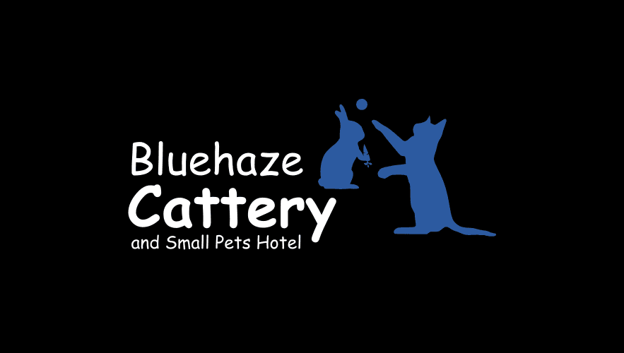 Catter Logo - Blue Haze Cattery offers cat care in Ringwood