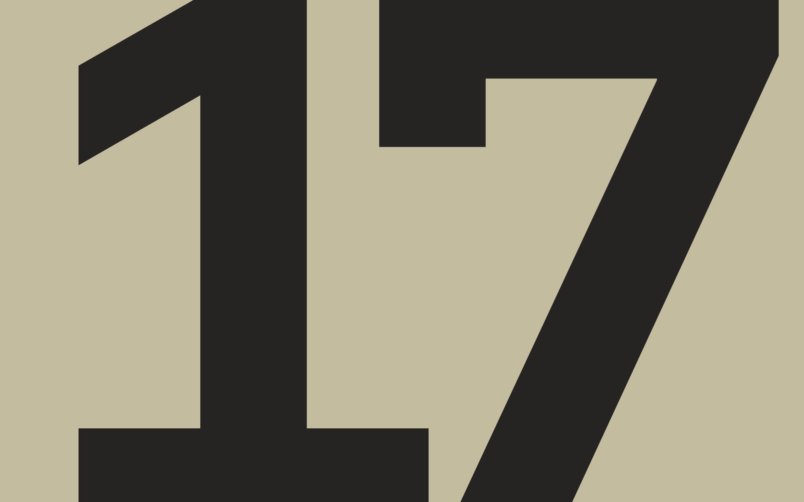 17 Logo - Case Study > 17 Years of Onefastbuffalo Logo Design