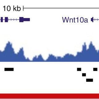 Sicer Logo - PDF) Spatial Clustering for Identification of ChIP-Enriched Regions ...