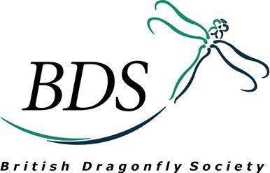 BDS Logo - New BDS Logo Colour Biodiversity Network