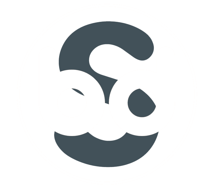 BDS Logo - Bds Logo White