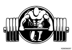 Workout Logo - Gym Weightlifting Workout Logo Car Wall Decal Sticker 6