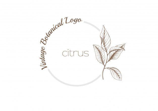 Botanical Logo - Botanical logo Vector | Premium Download