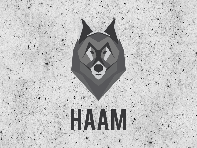 Haam Logo - HAAM