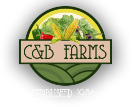 PrimusGFS Logo - Florida Farms Primus GFS Certified, USDA Organic, GMP & GAP Compliant