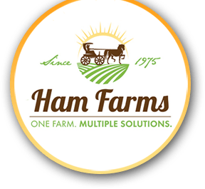 Haam Logo - Home - Ham Farms