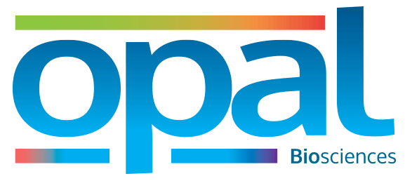 Opal Logo - Opal