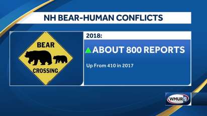 WMUR Logo - NH bear-human conflicts on rise