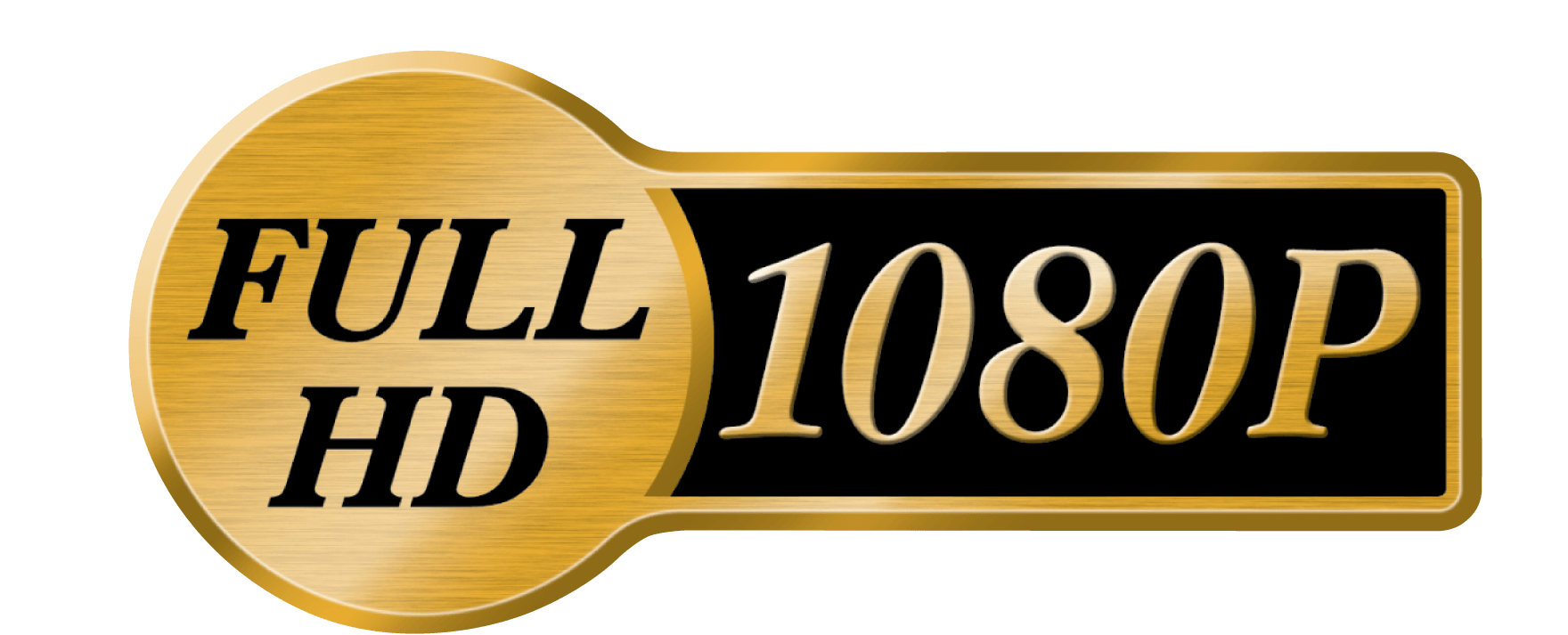 1080P Logo LogoDix