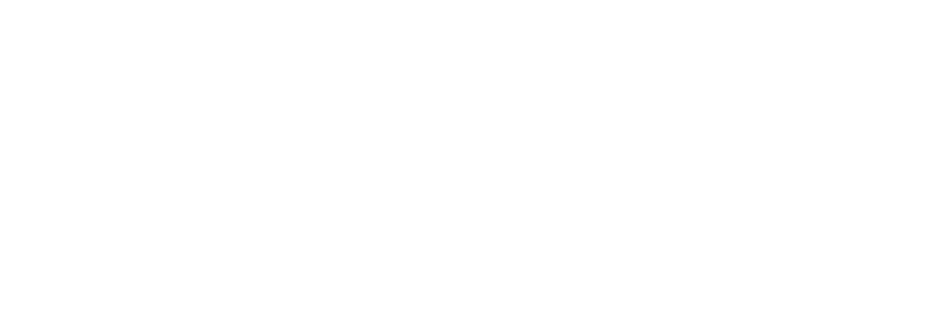 Vandals Logo - Official Website of Vandal New York