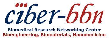 BBN Logo - Logo Ciber BBN - Nanobiosensors and Bioanalytical Applications - nanoB2A
