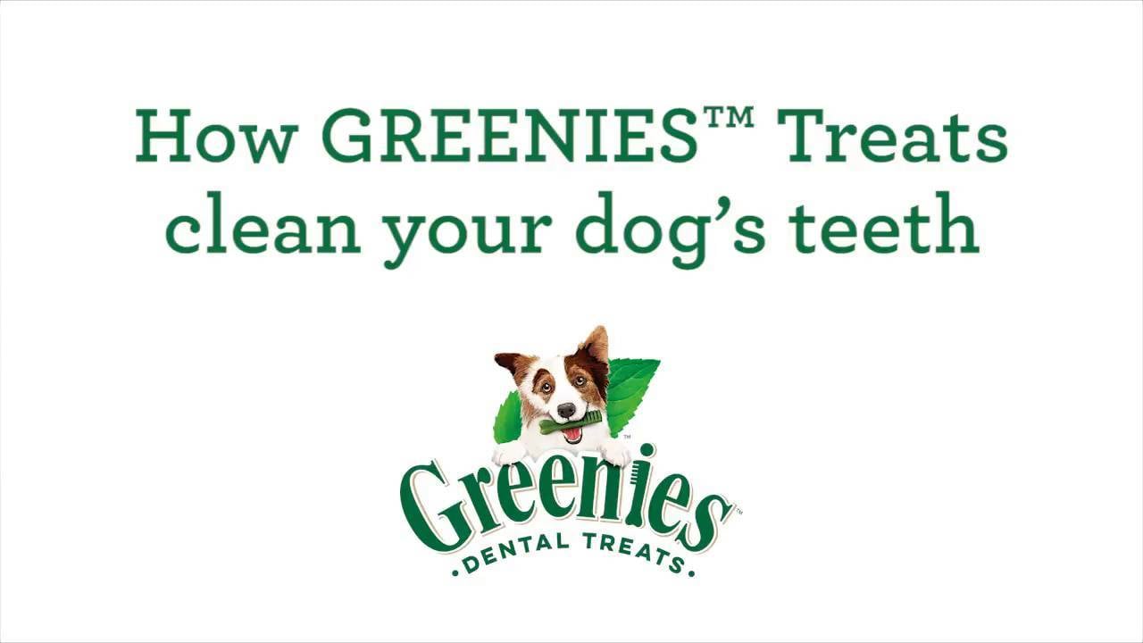 Greenies Logo - Greenies Fresh Regular Dental Dog Treats, 12 count