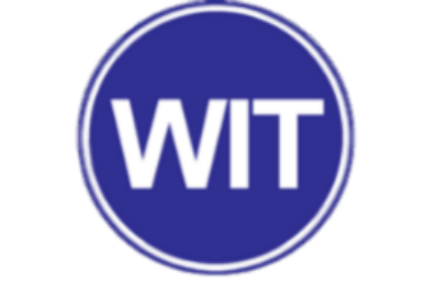 Wit Logo - WIT Strategy