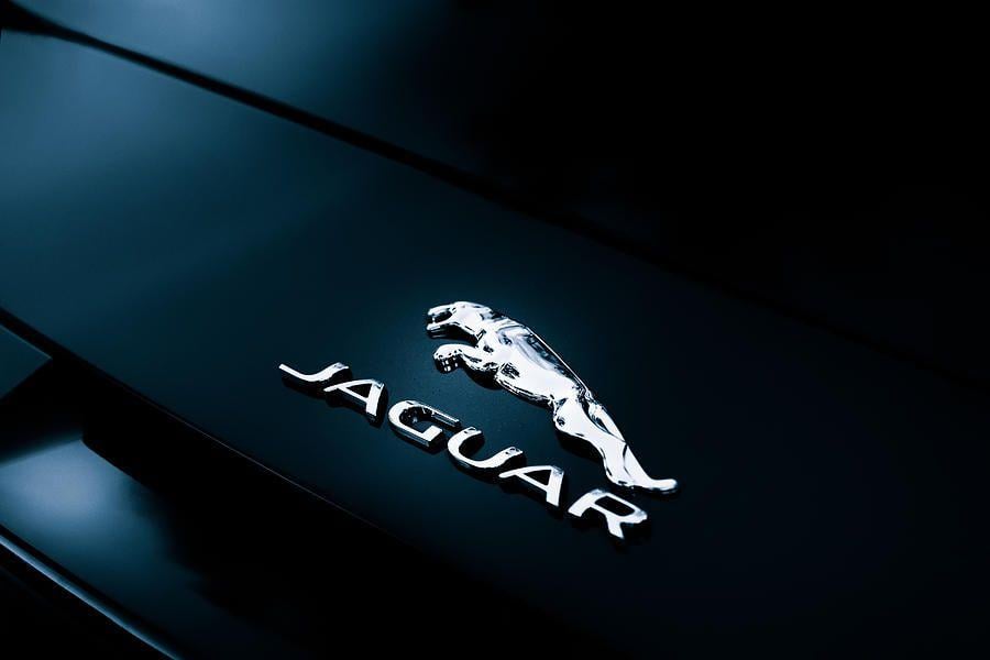 Jarguar Logo - Jaguar Logo Photograph by Darek Szupina Photographer