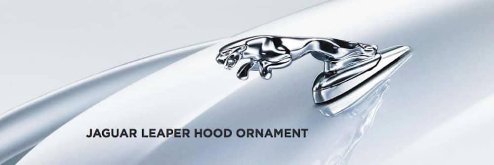 Jarguar Logo - Jaguar Hood Ornament History | Logo, Emblem | Santa Monica, CA