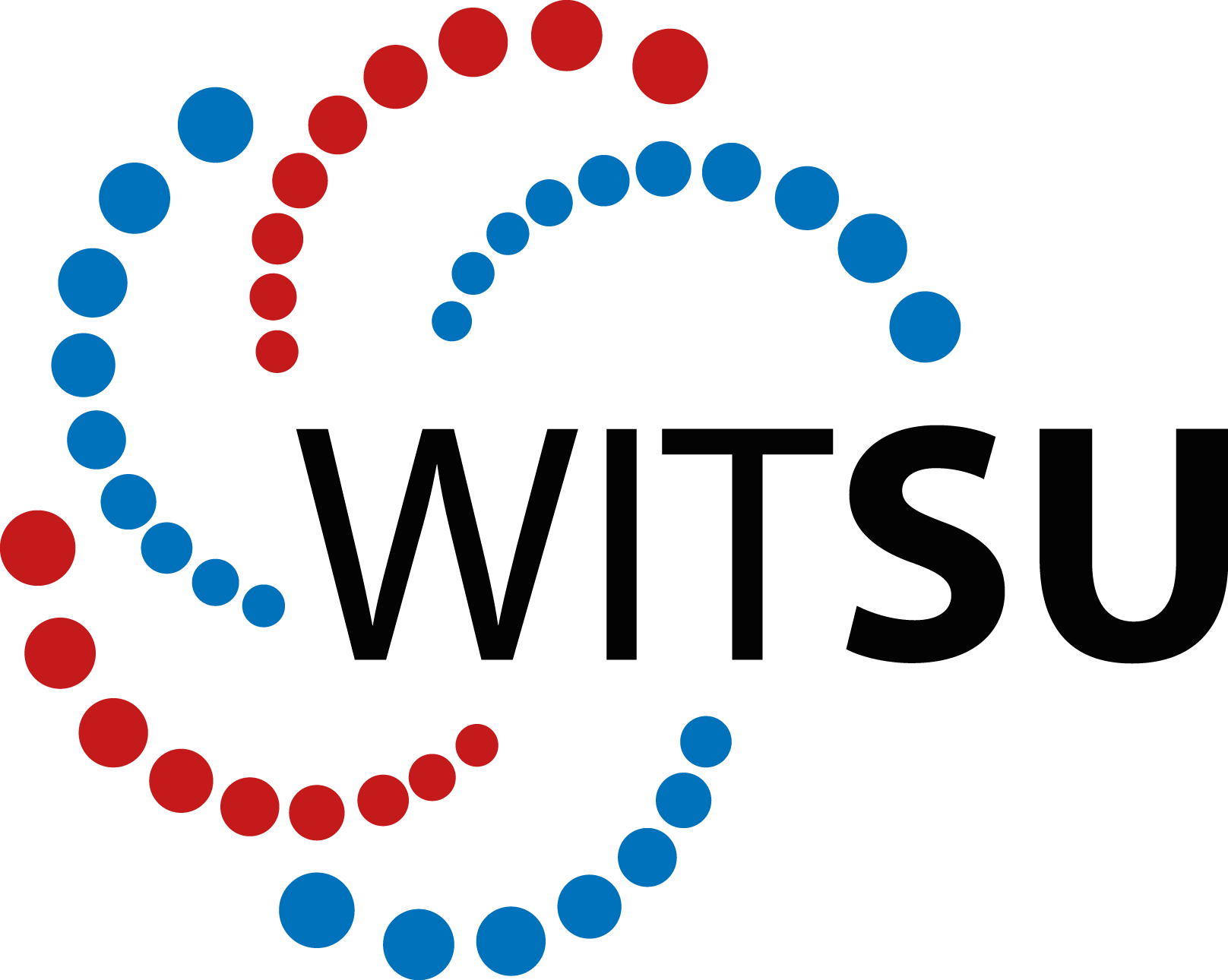 Wit Logo - Home - WITSU
