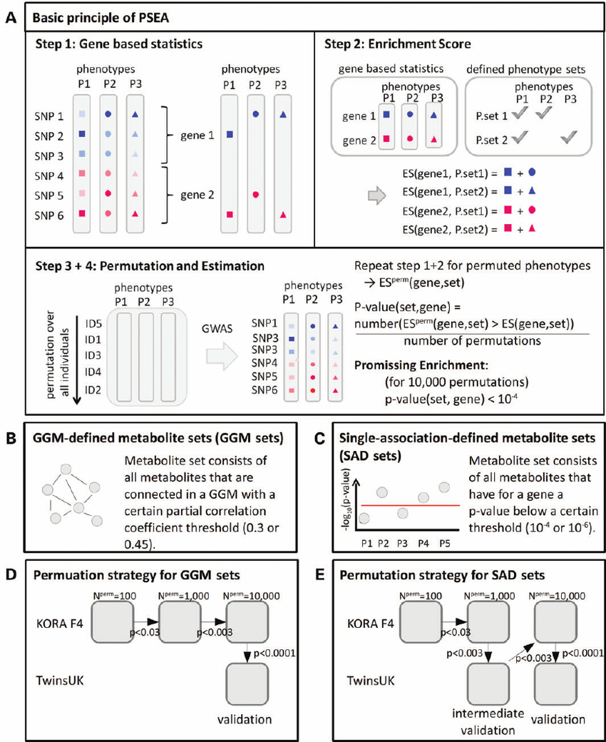 PSEA Logo - Schematic overview of the general method of PSEA ( A )