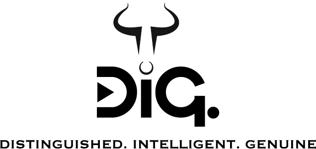 Dig Logo - DIG Camo Tee (Women's)