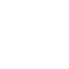 Dome Logo - Main Home Building Projects