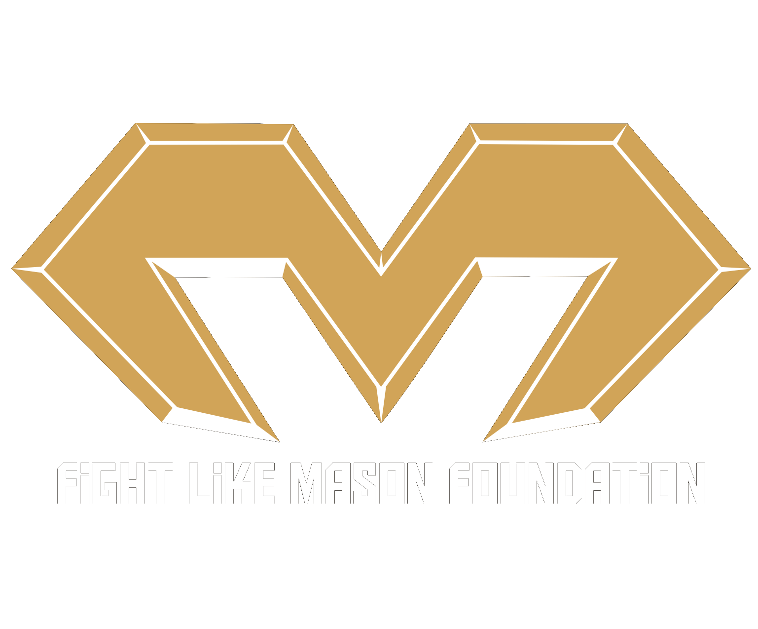 FLM Logo - FLM logo TRANS WHITE - Fight Like Mason Foundation