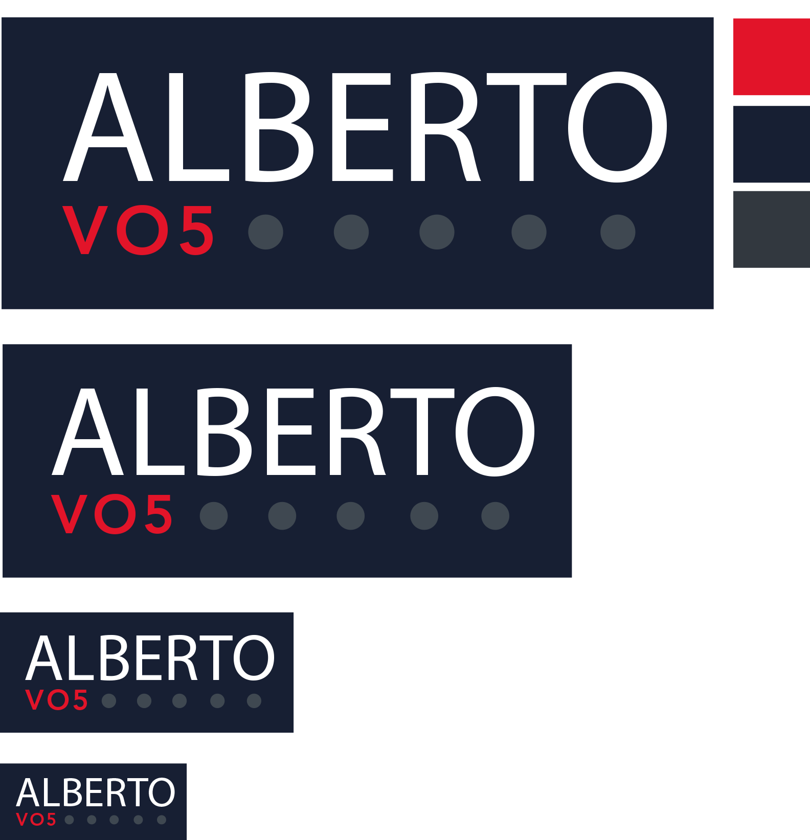 VO5 Logo - Gabriella Peters - Alberto VO5