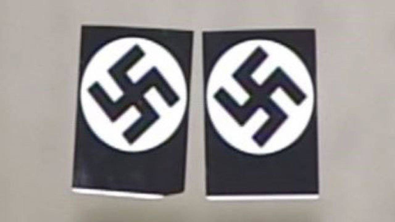 Natsi Logo - Secret Nazi symbol featured on German politician's new party logo