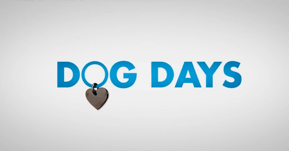 KLTY Logo - em>Dog Days</em> Movie Trailer | 94.9 KLTY - Dallas, TX