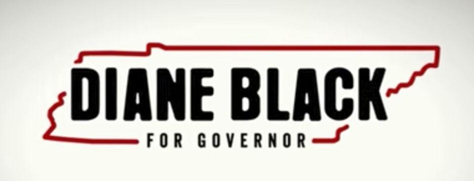 Diane Logo - Let's Rank the Gubernatorial Campaign Logos (So Far)