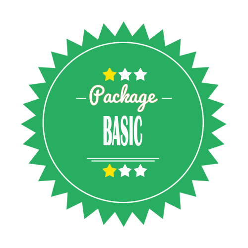 Basic Logo - Affordable Custom Logo Design Package for $39