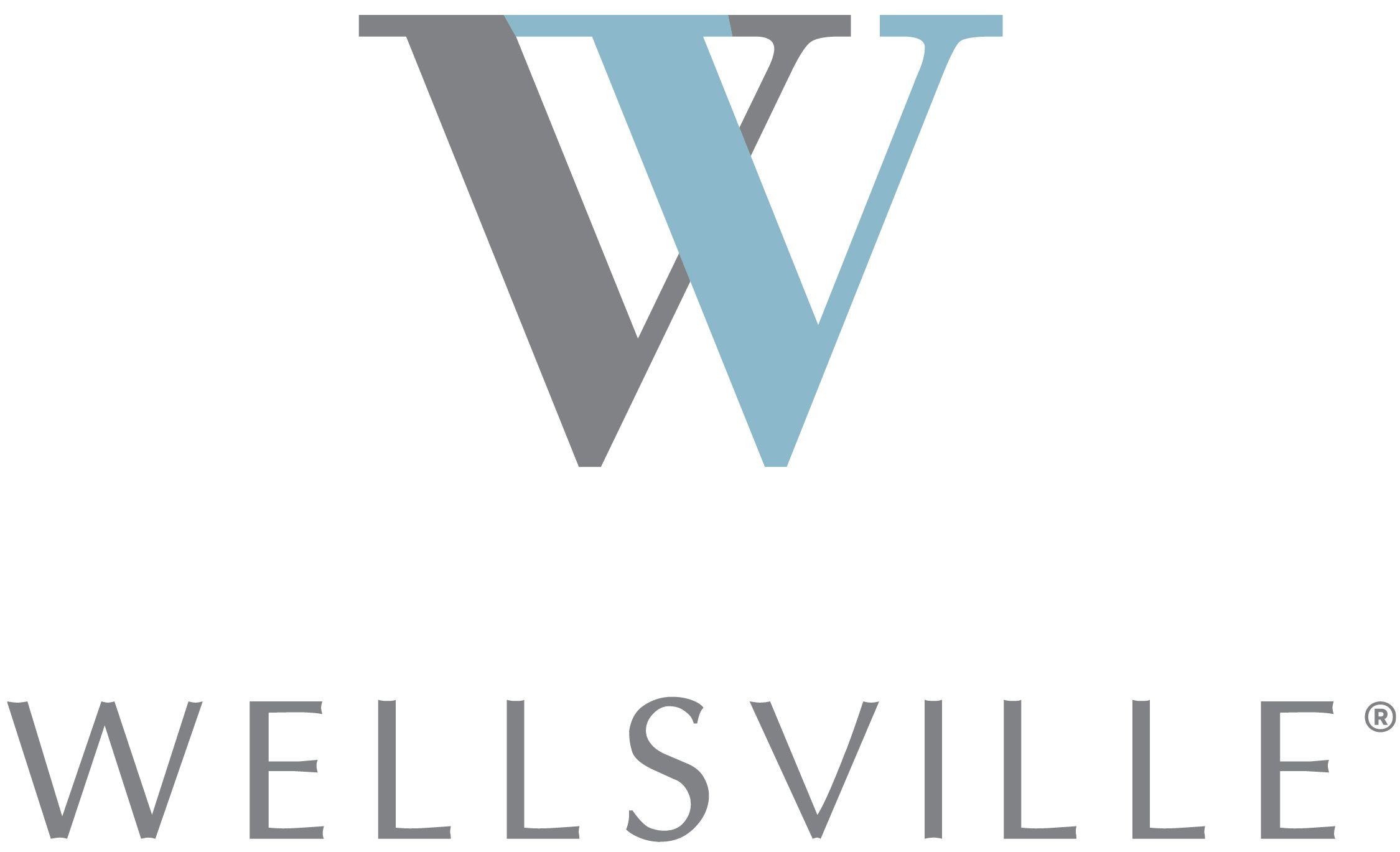 Wellsville Logo - Wellsville® 14 Inch Gel Memory Foam Innerspring Hybrid – Mattress ...
