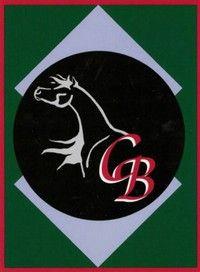 Clearbrook Logo - MiniHorseStreet: Clear Brook Miniatures is a horse farm located in ...