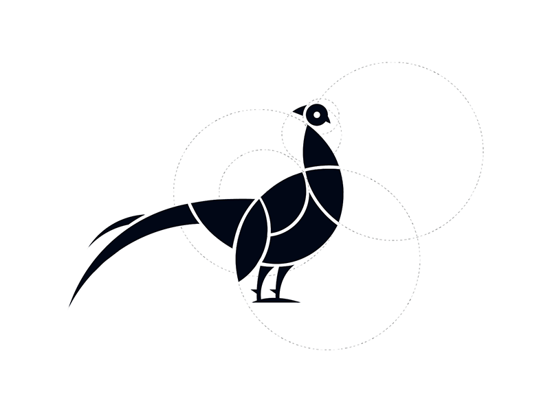 Pheasant Logo - Pheasant by Eto | Dribbble | Dribbble