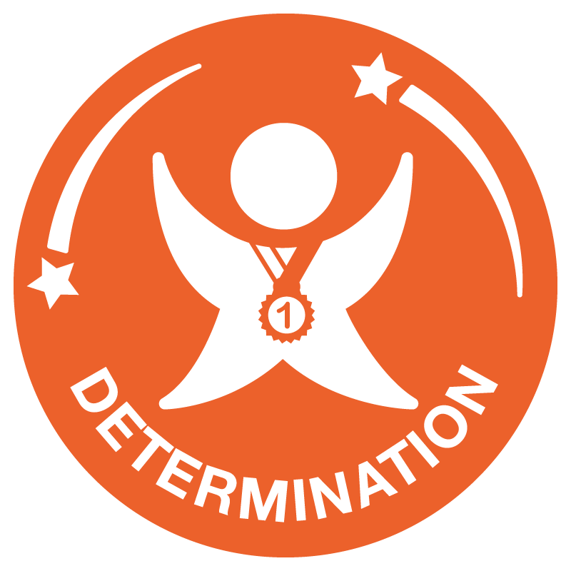 Determination Logo - Free Determination Icon 116322 | Download Determination Icon - 116322