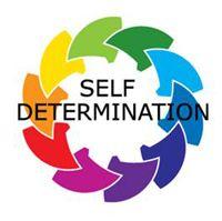 Determination Logo - About Self Determination