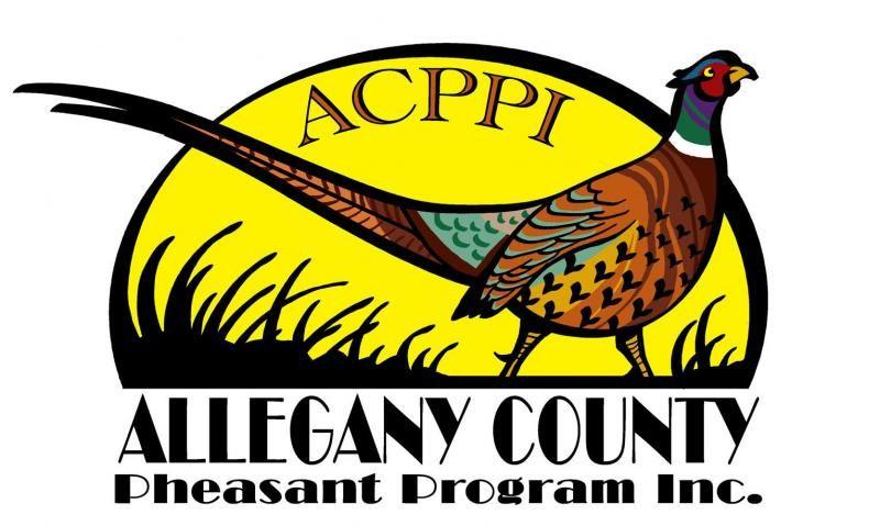 Pheasant Logo - Allegany County Pheasant Program - Home