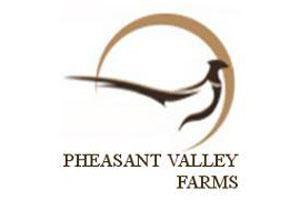 Pheasant Logo - Pheasant Valley Farms Hillsboro, Illinois | Ultimate Pheasant Hunting