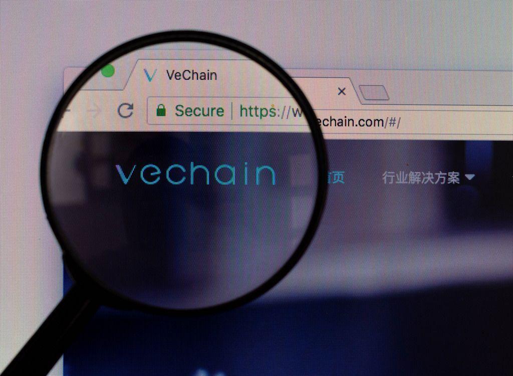 Vechain Logo - Vechain logo on a computer screen with a magnifying glass