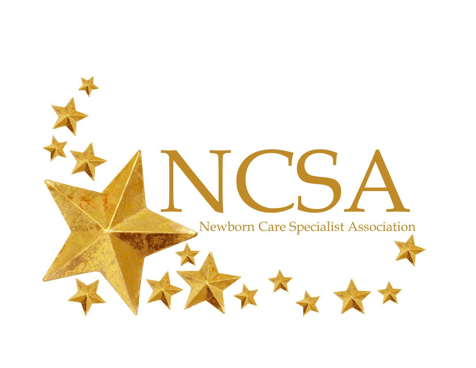 NCSA Logo - ncsa logo