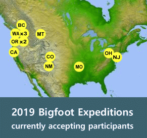 BFRO Logo - Bigfoot Field Researchers Organization